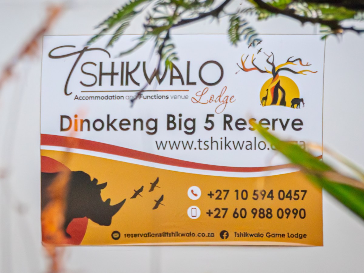 Tshikwalo Game Lodge Visit –&nbsp;Dinokeng